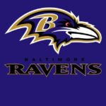 ravens